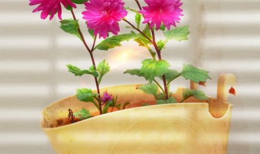 ವೈಯಕ್ತಿಕ ಜಗಳಕ್ಕೆ ಕೋಮು ಬಣ್ಣ: ಸಿ.ಪಿ.ಐಎಂ ಆರೋಪ