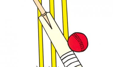 22 ಗಜದಿಂದ 20-20ರವರೆಗೆ  ಮಾರುಕಟ್ಟೆ ಮೈದಾನವೂ ಕ್ರಿಕೆಟ್ ಎಂಬ ಕ್ರೀಡೆಯೂ