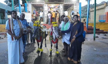 ಬಲಿಪಾಡ್ಯಮಿ- ದಂಡಿನ ಮಾರಮ್ಮ ದೇವಸ್ಥಾನದಲ್ಲಿ ಪ್ರಭಾರ ಉಪವಿಭಾಗಾಧಿಕಾರಿ ನಾಹಿದ್‌ ಜಮ್‌ ಜಮ್