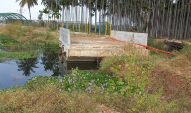 ಕೆರೆ ಸುತ್ತ ಅರ್ಧಕ್ಕೇ ನಿಂತ ವಾಕಿಂಗ್ ಪಾತ್- ಆರಂಭ ಶೂರ ಸ್ಮಾರ್ಟ್ ಸಿಟಿ!? 99% ಲೋಕಲ್ ಕುಚ್ಚಂಗಿ ಪ್ರಸನ್ನ