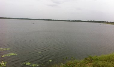 ಒಂದಾನೊಂದುಕಾಲದಲ್ಲಿ ನಾಗಿನಿ ಎಂಬ ನದಿಯೊಂದಿತ್ತು . . . .   ಜೀವಜಾಲ   ಮಲ್ಲಿಕಾರ್ಜುನ ಹೊಸಪಾಳ್ಯ