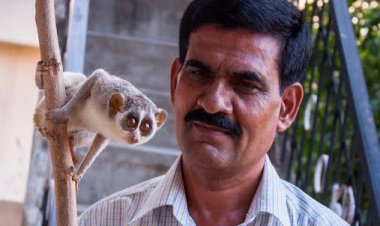 ಅಯ್ಯೋ ಪಾಪ - ಇದುನಮ್ಮೂರಿನ‘ಕಾಡುಪಾಪ’ !--ಮಲ್ಲಿಕಾರ್ಜುನ ಹೊಸಪಾಳ್ಯ