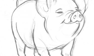 60ರ ಹಿನ್ನೋಟ‌  ಡಾ.ಎಚ್.ವಿ.ರಂಗಸ್ವಾಮಿ  “ ಈ ಮೇಸ್ಟ್ರು ಬತ್ತಾನೆ ನೋಡು ಹಂದಿ ಕಾಯಾಕೆ !?”    