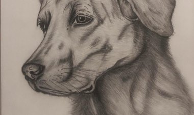 ಮುಧೋಳ್ ಎಂಬ ಹೆಸರು ಒಪ್ಪದ ಮುದ್ದ !!