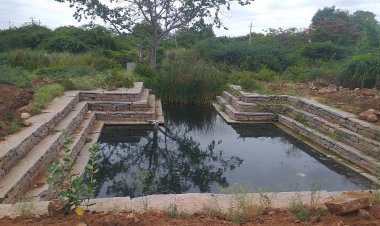 ತಲಪರಿಗೆಗಳು ಕಲ್ಯಾಣಿಗಳಾಗುವ  ಅಪಾಯ