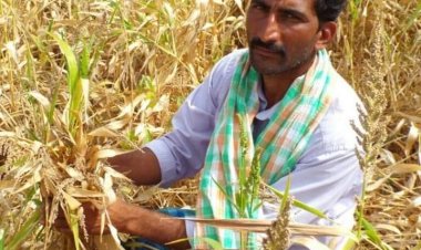 ರೈತರ ಆದಾಯ ದುಪ್ಪಟ್ಟುಗೊಳಿಸುವ ಮಾತು ಕೇವಲ ಕಣ್ಣೊರೆಸುವ ತಂತ್ರ