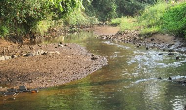 ನೆನೆ ನೆನೆ ಆ ದಿನಗಳ