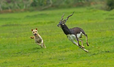 ಈ ಐದು ವರ್ಷಗಳ ನಂತರ ಒಂದು ಪುಟ್ಟ ಸಮಾರಂಭ..,  
