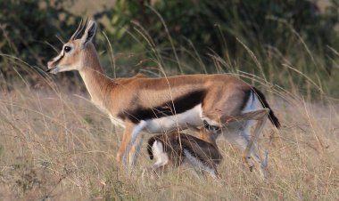 ನನ್ನ ಜೀವನೇ ವೇಸ್ಟ್ ಅನ್ನಿಸಿದ ದಿನಗಳವು…,                                                                                                                      ನೇತ್ರಾವತಿ.ಕೆ.ಬಿ