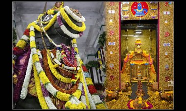 ಸವನಗುಡಿಯಲ್ಲಿ ಕಡಲೆಕಾಯಿ ಪರಿಷೆ:  ಜನ ಮತ್ತು ಕನಸುಗಳ ಸಂಗಮ