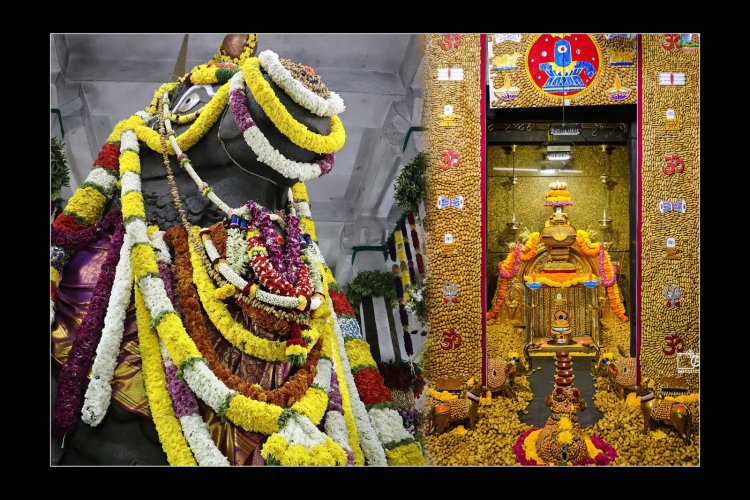 ಬಸವನಗುಡಿಯಲ್ಲಿ ಕಡಲೆಕಾಯಿ ಪರಿಷೆ:  ಜನ ಮತ್ತು ಕನಸುಗಳ ಸಂಗಮ